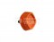 Evolution Sliding Lock Screw