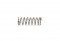 Evolution Trigger Lock Spring