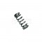 Bosch Compression Spring