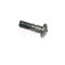 Bosch Screw