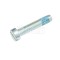 Bosch 2914551114 Microencapsulated Screw For USH 10 Chain Saw Attachment