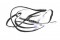 Milwaukee Seal