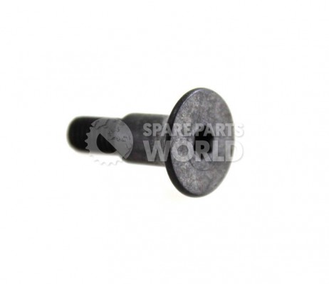 Click For Bigger Image