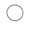 O RING