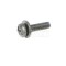 SCREW