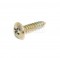 Fischer 554029 Self Tapping Bolt