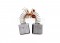 BRUSH PAIR 115V