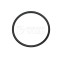 Paslode 403992 Cylinder Head O-Ring For IM350 IM350CT Cordless Nailers