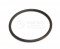 REMS O-ring